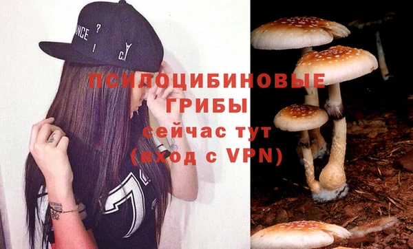 дурь Лихославль