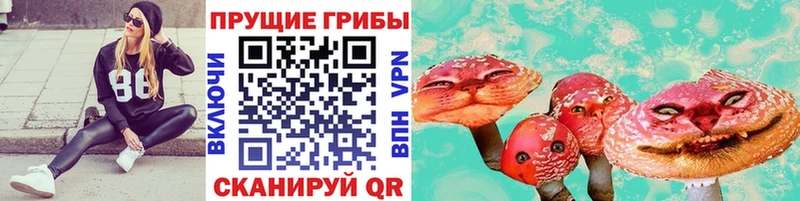 Псилоцибиновые грибы Cubensis  Алапаевск 